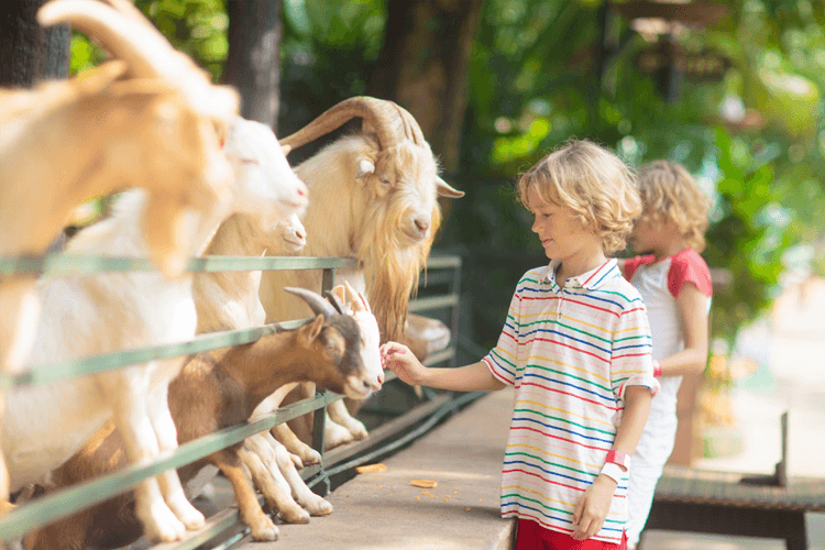students at the zoo